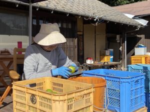 お義母さんが選果デビューしました！